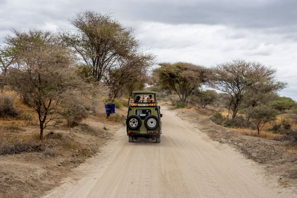 Gilbays Safaris guide with guests in Mikumi National Park