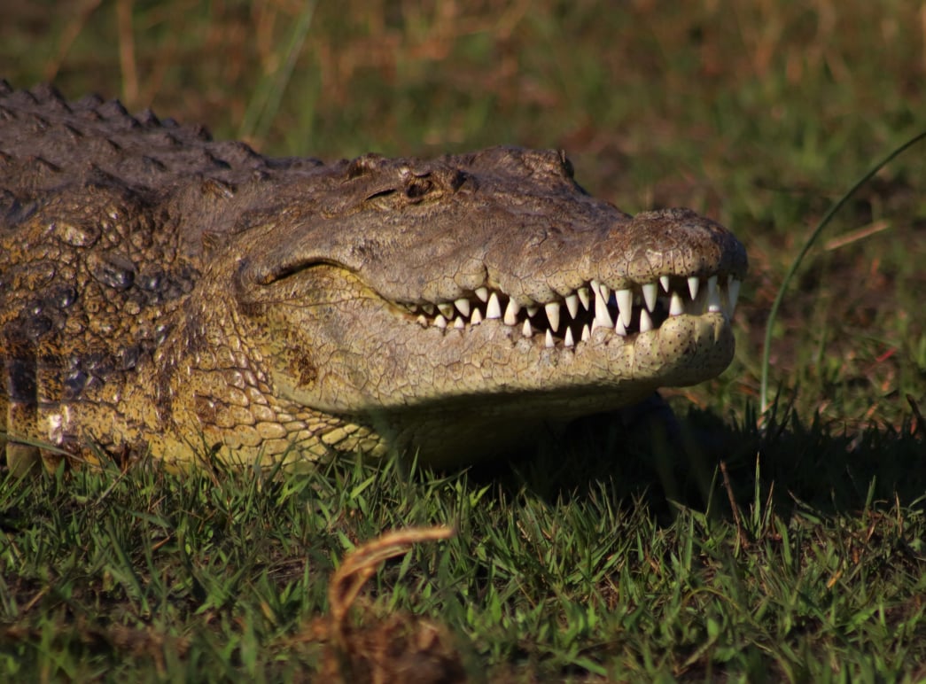 Katavi National Park