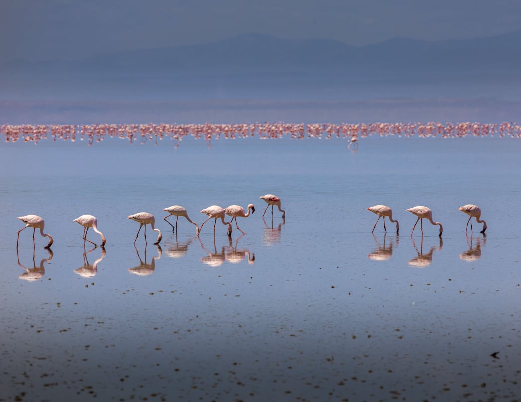 Lake Natron