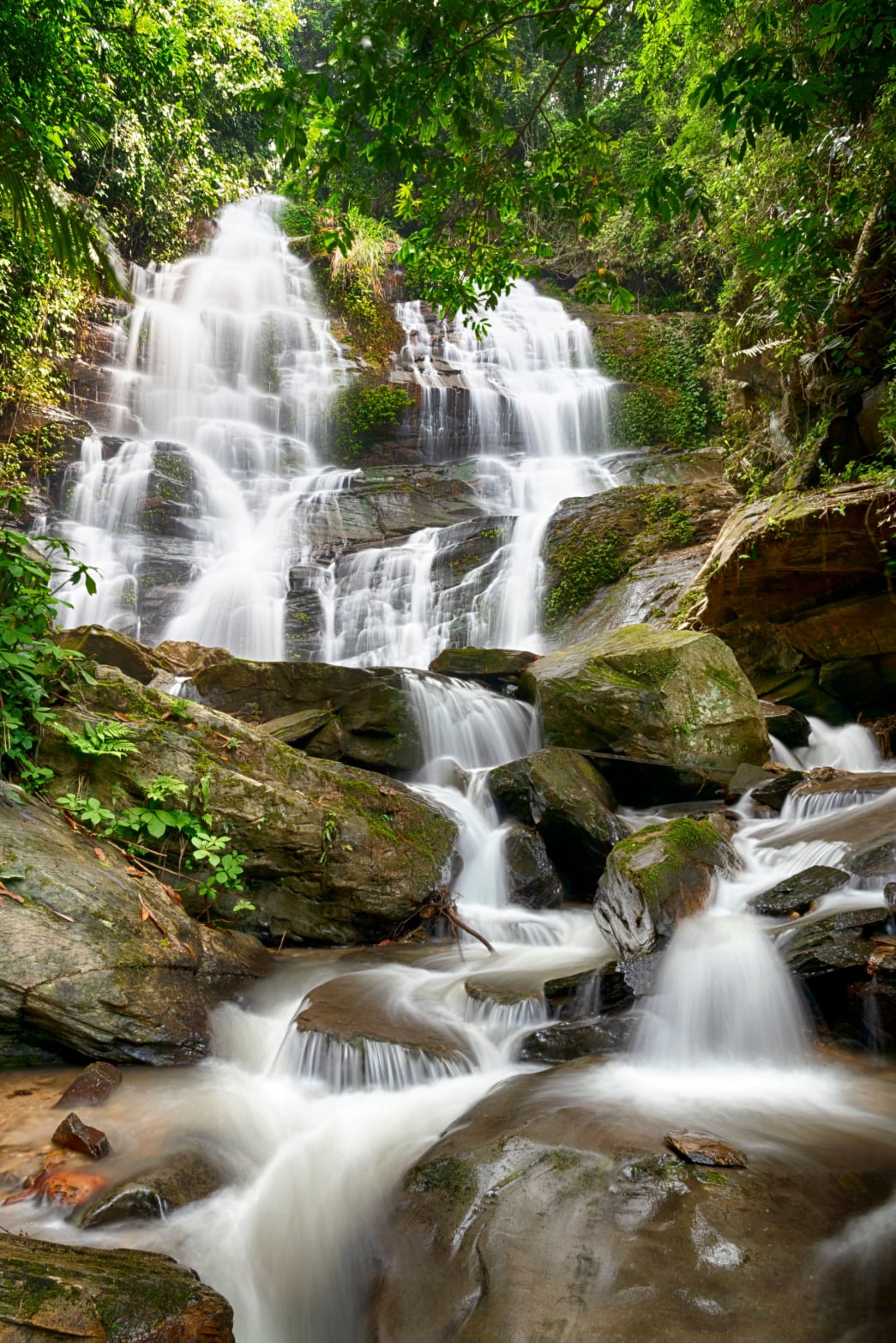 Udzungwa Mountains National Park